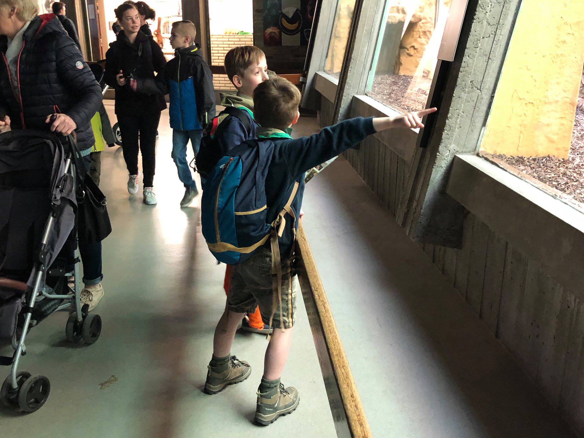 Sint-Martinus den XIIde - Zoo Antwerpen Kapoenen